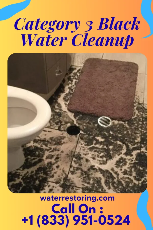 Category 3 Black Water Cleanup in Grandwood Park, IL
