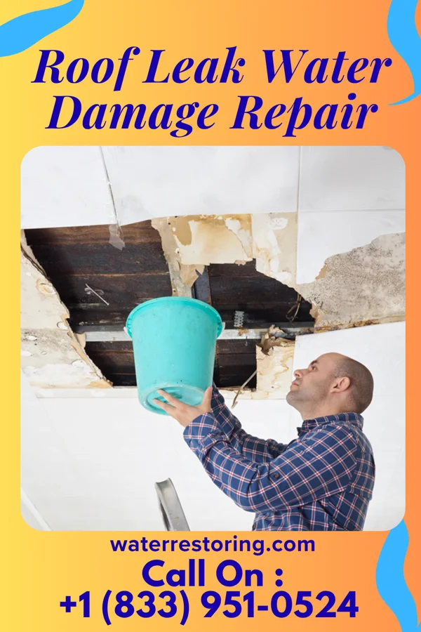 Roof Leak Water Damage Repair in Grandwood Park, IL